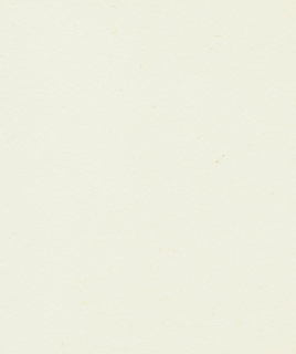 photo/211902b0-b3b1-4673-ad2e-32b5b0dfb133-3